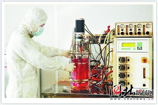 《河北日报》PA视讯：重组人源抗体阻击狂犬病