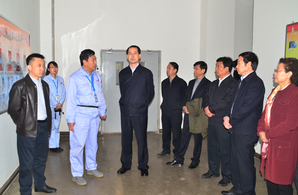 王亮市长一行到PA视讯调研在建项目