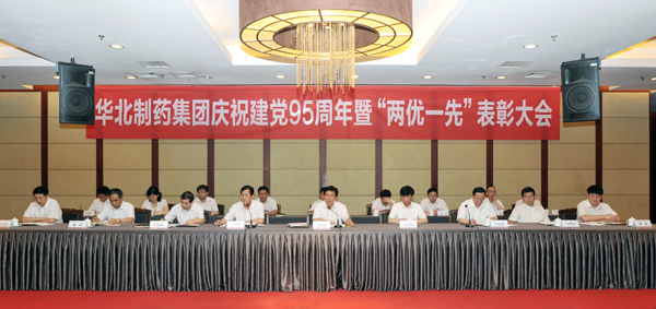 PA视讯集团召开庆祝建党95周年暨“两优一先”表彰大会