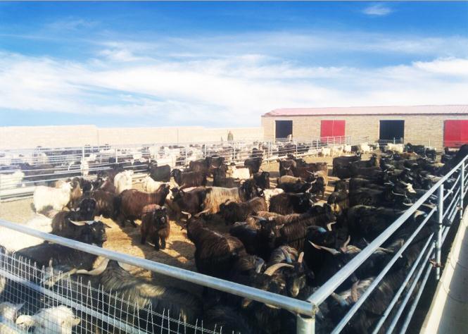 PA视讯集团驻村组：“幸福”存折 储存希望