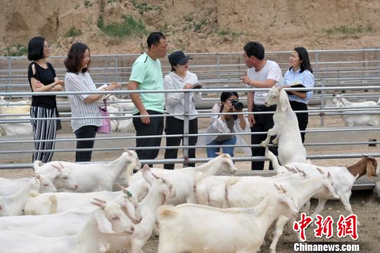 中国新闻网：贫困村探访 “组合拳”确保稳脱贫